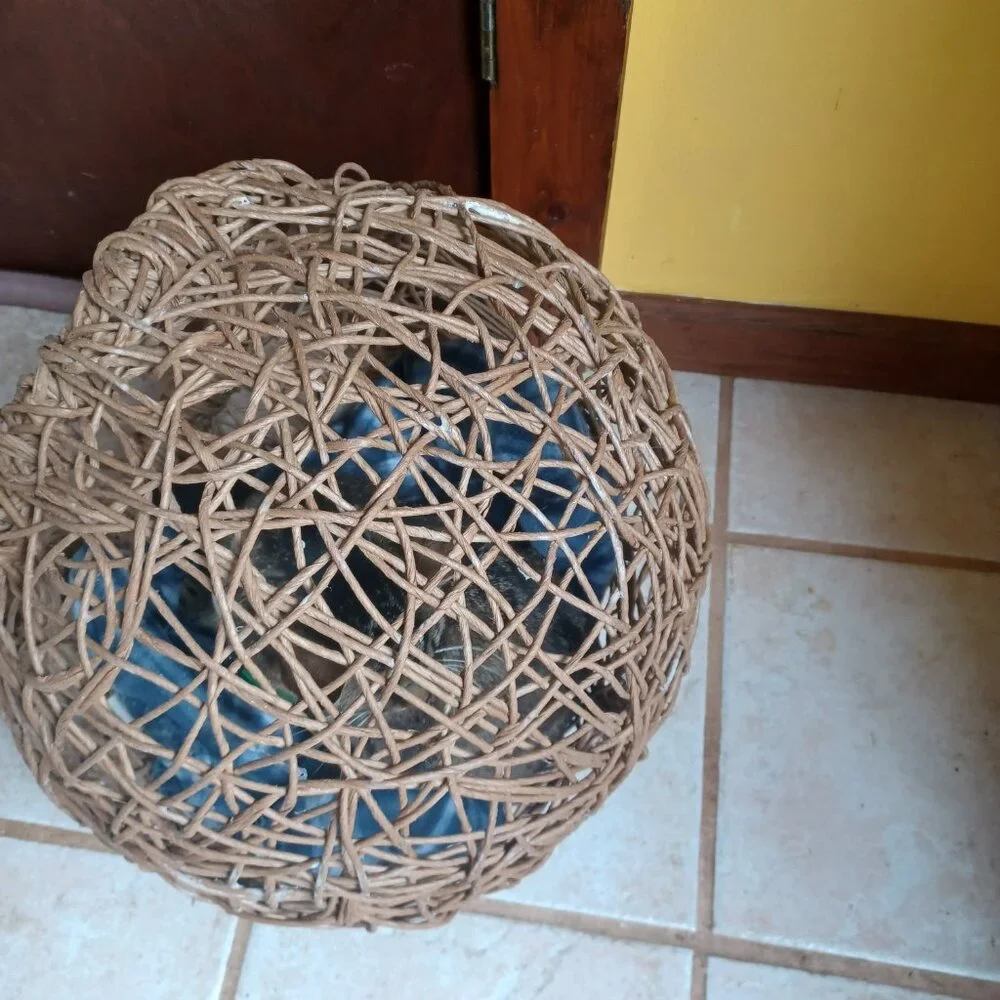 Homemade FiberRush Cat/Dog Bed small/med